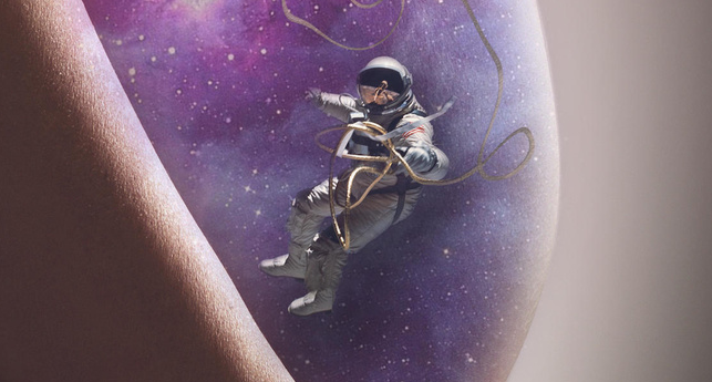 Les Cobayes Du Cosmos Confidences D Astronautes LES CONQUÉRANTS DE L'ESPACE | FranceTvPro.fr